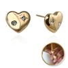 Earrings Stainless Steel Gold Plated 14K Gold Hearts Zirconia Jewelry
