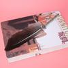 Vintage Retro Feather Dip Pen Calligraphy Writing Pen Stationery Gift with Packing Box