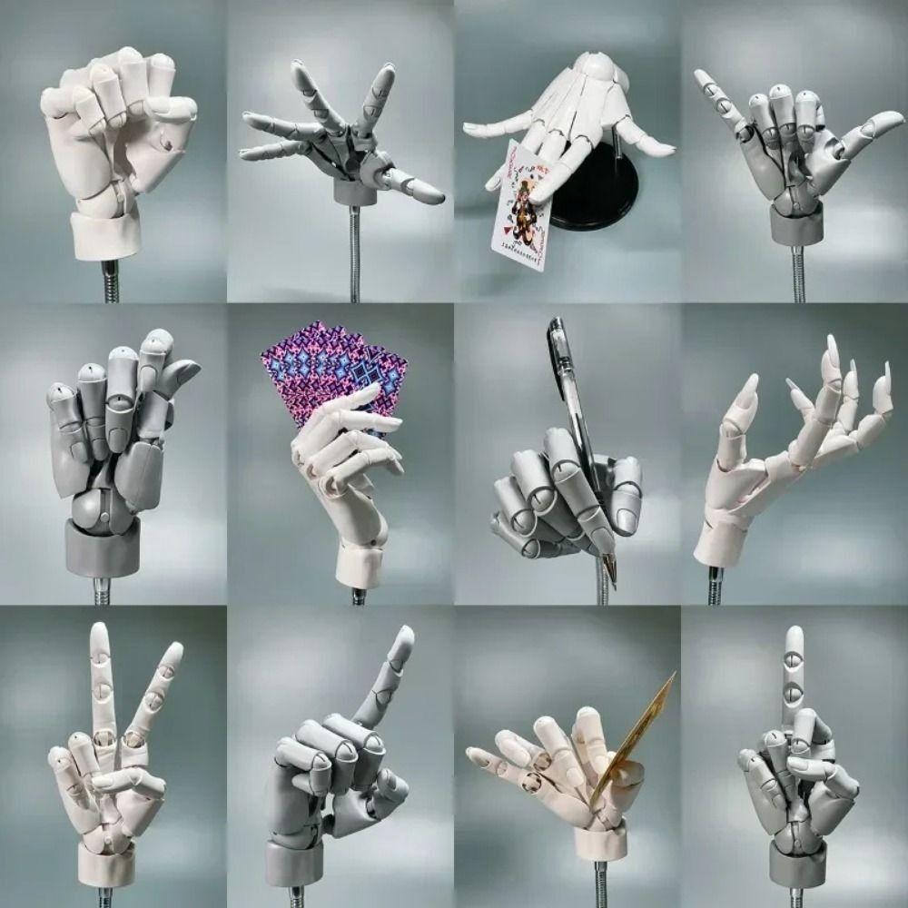 Left/Right Articulated Hand Model Hand Finger Joint Figurine  Simulation Sketching Painting