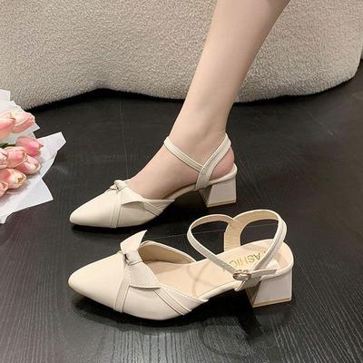 Baotou Sandals Women's Spring 2025 New Lady with Skirt Fairy Wind Medium Heel Thick Heel Pointed Single Shoes High Heel