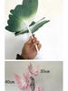 Large Pink Butterfly Art Set for Visual Merchandising, Window Decoration, Floral Display, and Hotel Landscaping