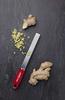 Microplane Classic Red Zester Grater, Stainless St