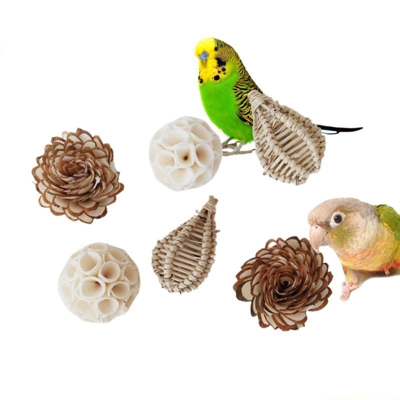 QX2E Parrots Grinding Chew Toy Chew Training Supplies Natural Rattan