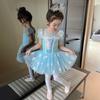 Frozen Ballet Dance Costume for Girls: Children's Mesh Leotard Dress & Chinese Dance Attire