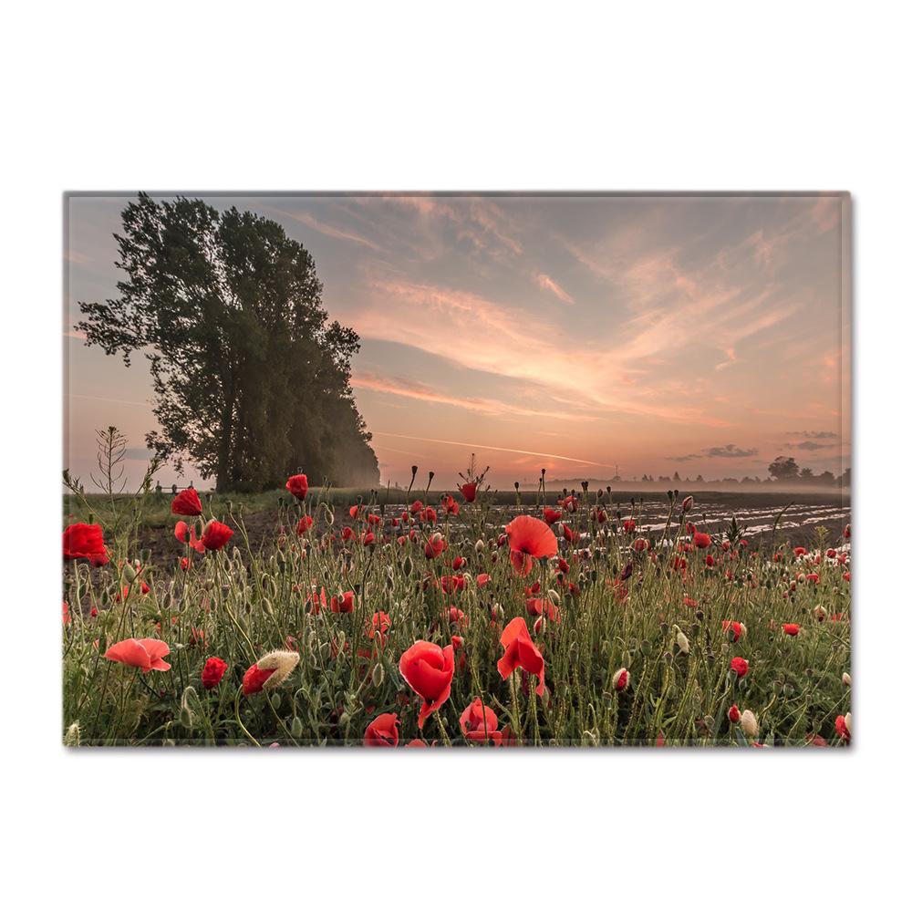 Scenic Carpet Feather Wind Bedroom Floor Mat