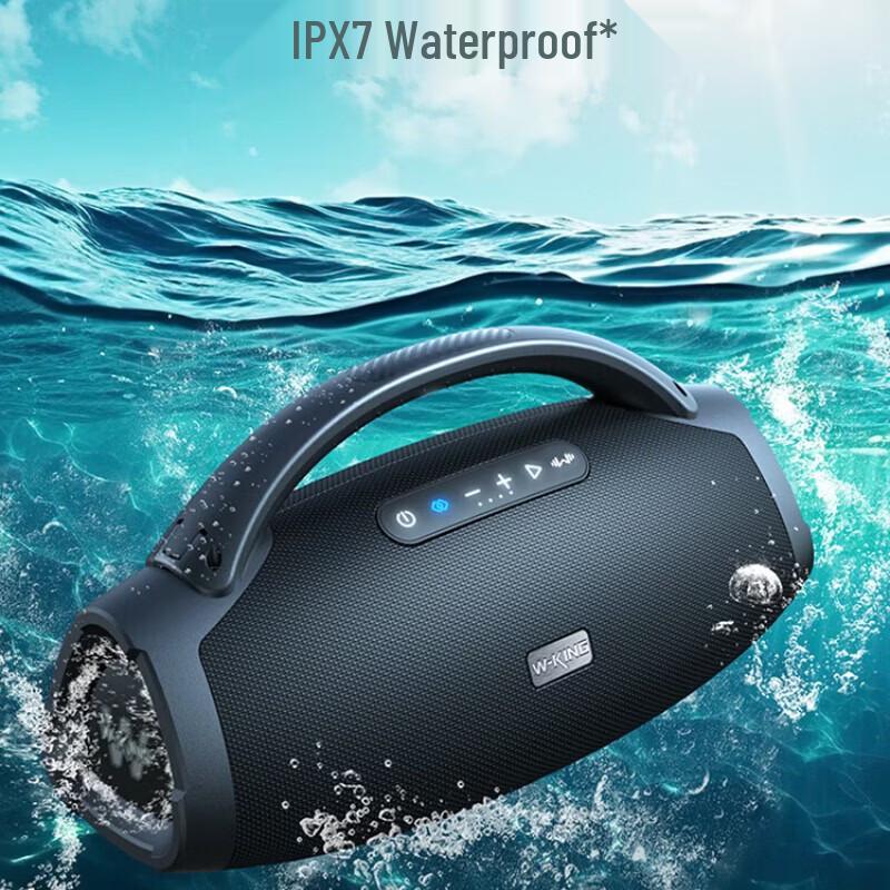 W-King D20S Portable K-Song Bluetooth Speaker (CN version)
