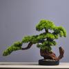 New Chinese Style Artificial Welcoming Pine Bonsai Artificial Tree Desk Decor for Living Room Entryway Hotel Home Office Gift