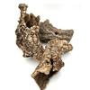 BioCork Tube MIX Cork tubes of cork oak 10kg