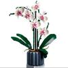 An Orchid Bouquet Is An Ideal Gift Suitable For Home Decoration And Is A Perfect Small Accessory.