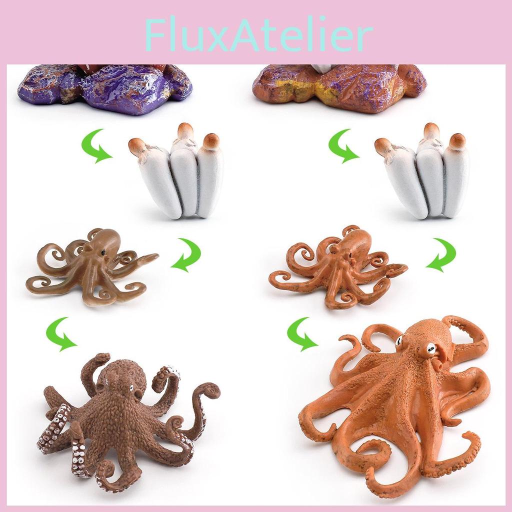 Childrens Educational Animal And Insect Growth Cycle Pvc Earthworm Octopus Model Set For Kids Learning And Activities