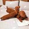 55/70/110cm Cartoon Dachshund Dog Plush Toy Plush Pillow Stuffed Plush Animals Girl Gifts Toys for Children Home Decor