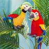 Pillow Wild Animal Stuffed Toys Parrot Plush Toy Simulation Plush Stuffed Doll Parrot Plush Doll
