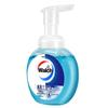 Walch Disinfecting Foam Hand Soap