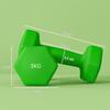 Set of 2 Dumbbells 3 Kg Hexagonal and Non-Slip for Home and Gym, In Metal and Plastic, 18x8x8 Cm, Green