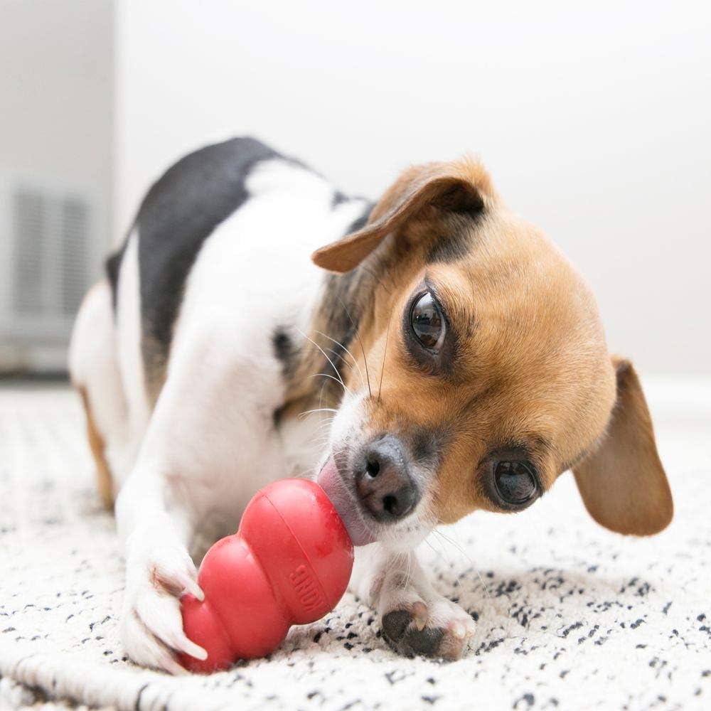 KONG Classic Stuffable Dog Toy - Fetch Chew Toy for Dogs - Durable Natural Rubber Material - for Extra Small Dogs 1
