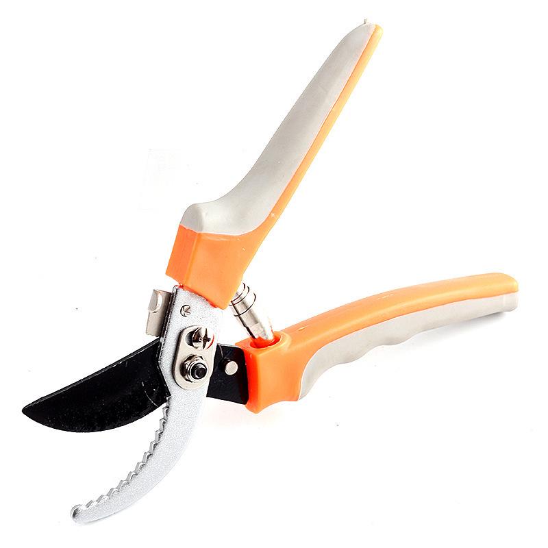Garden Pruning Shears - Ideal for Flowers, Trees, Grass, and Hedges