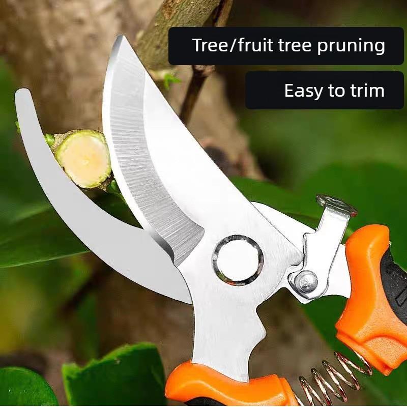 Multi-Purpose Stainless Steel Pruning Shears Set for Garden Orchard Fruit Branches Home Use Ideal Gardening Tool Cheap5