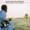 Moudou Ould Mattalla Desert Guitar