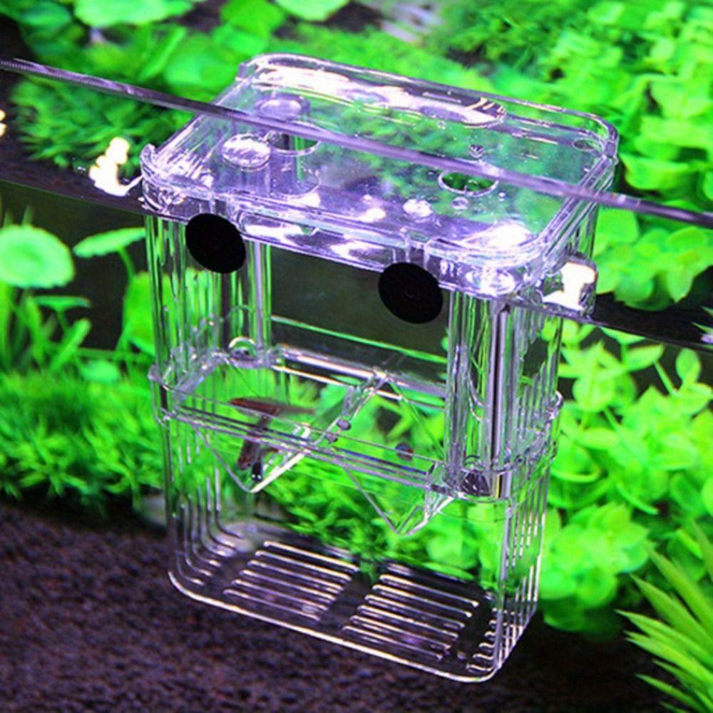 Multi Size Aquarium Breeder Box Acrylic Fish Breeding Isolation Box Betta Fish Tank Divider Shrimp
