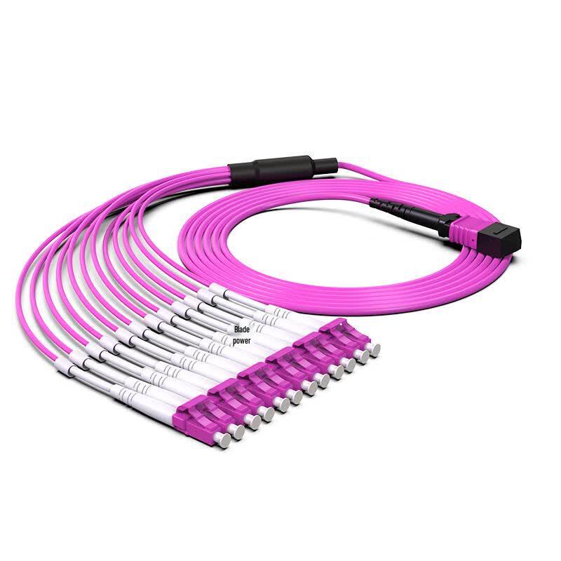 Dasheng Light MPO-LC OM4 12-Core Fiber Optic Patch Cable