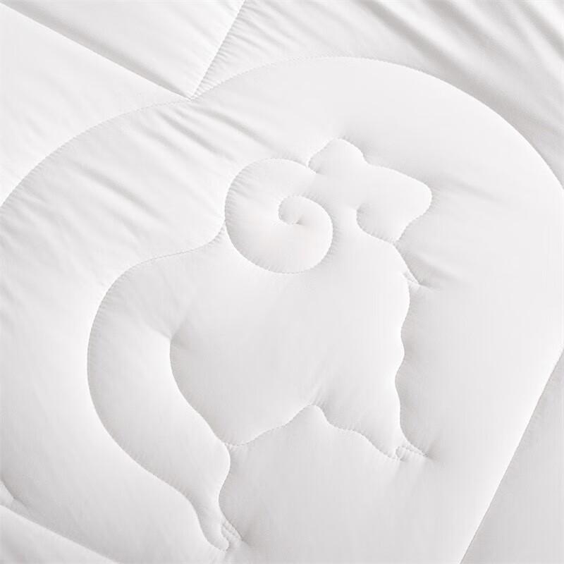 Mercury Home Textiles Antibacterial Australian Wool Quilt