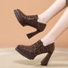 Leopard Print High Heels Spring and Autumn New Pointed Toe Deep Mouth Platform Sole Non-slip Wear-resistant Low-top Single Shoes