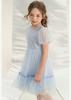 Sweet Mesh Bubble Sleeve Princess Skirt for Girls