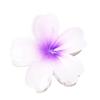 Sweet Flower Hawaiian Flower Hair Clip Plumeria Flower Hairpin New Hair Claws  Beach Summer
