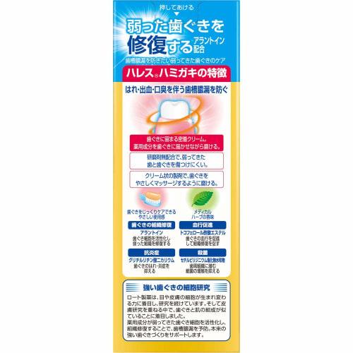 Rohto Pharmaceutical Hales Toothpaste, 50g (x 1)