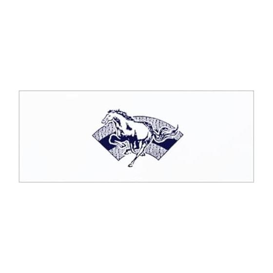 Todaya Shoten Tenugui Hand Towel - Fan and Horse Pattern