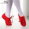 Unisex Canvas Jazz & Ballet Dance Shoes for Kids and Adults