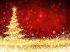 Christmas Tree Photography Backdrop, Golden Sparkle Studio Props