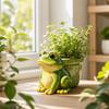 Resin Succulent Pot Funny Frog Planter Stylish Modern Potted Sculpture  Garden Decoration