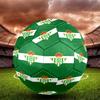 Real Betis Balompié Indoor Soccer Ball Size 5 Colorful All Ages Machine Stitched PVC Competition Ready Durable High-Bounce