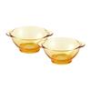 VISIONS Amber Glass Double-Ear Salad Bowl 2-Piece Set