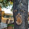 Unique Bird Feeders,Tree Faces Decor Outdoor,tree Decoration Outdoor Makes For Housewarming Or Birthday Present For Your Family And Friends