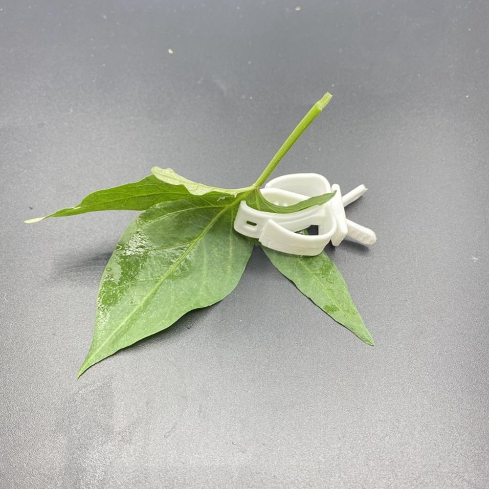Parakeet Hamster Cage Accessories Vegetable Small Animals Pet Cuttlebone Clip Feeding Clamp Parrot Feeder Bird Food Holders