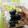 Squishy Fluffy Kawaii White Cat Blue Eyed Persian Cat Fidgety Toys Girl Birthday Cute Present Fingertip Plaything Stress Ease Toys Pets