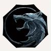 1pc The Witcher Automatic Opening/closing Umbrella, Foldable Sunshade, Perfect Gift for Friends, Durable Handle y250812101