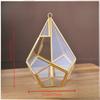 Micro Landscape Planters Moss Rainforest Aquariums Five-sided Diamond-shaped Glass Conservatories Aquatic Plant Vases