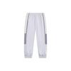 Li Ning Sports Lifestyle Collection Sports Trendy Collection Sports Pants Men's Stone Gray AYKT405-4