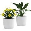 Set of Two Diameter 22cm Planters - White