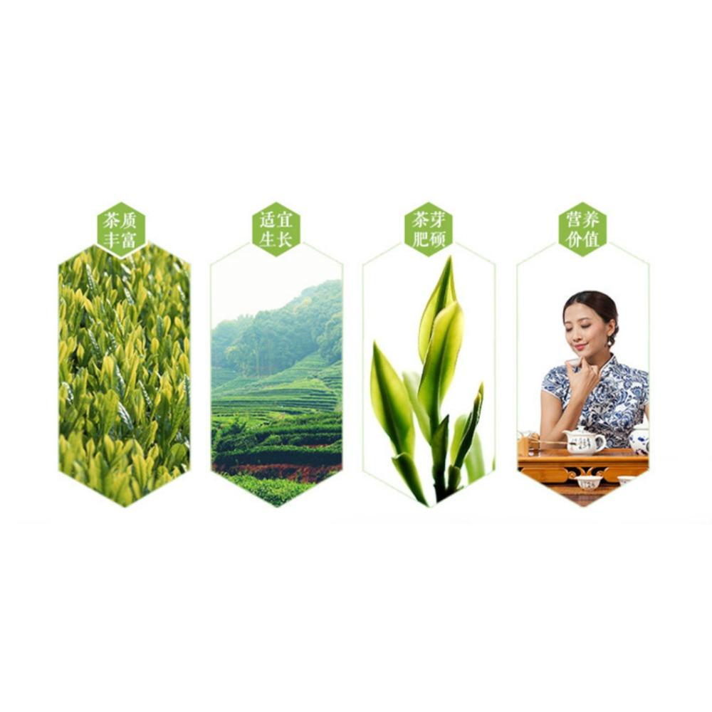 Premium Jinxuan Milk Oolong Tea 50g Natural Milky Flavor Loose Leaf Green