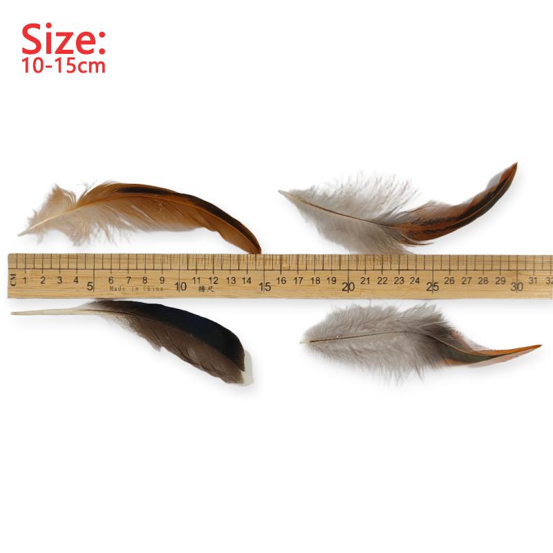 10-15Cm Pheasant Feathers Natural Tail Ringneck For Crafts Long Bulk 50Pcs Plumas Pictures Salon Easter Decoration Goose Trim