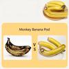 Banana Storage Case Wear Resistant Convenient Sealed Food Grade Banana Saver