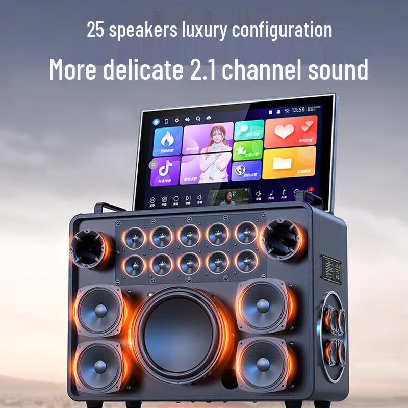 Sansui C1 Portable Home KTV Speaker System