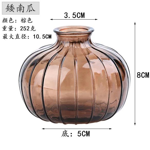 Decorative Flower Bottle Nordic Glass Vase Transparent Bud Vase Designed Hydroponic Plant Pot Living Room Decor Table Ornaments