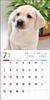 Calendrier 2024 Labrador Retriever (Calendrier Seibundo Shinkosha)