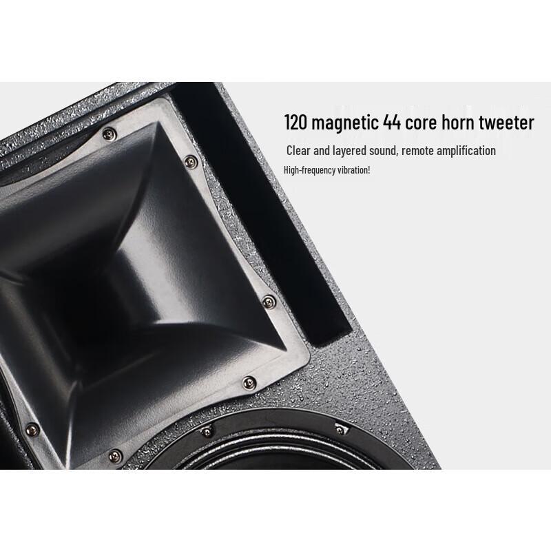 Shile BM-15 15-inch Professional Stage Speaker (Pair)