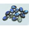 13X18MM Natural Labradorite Blue Fire Oval Cabochon Loose Gemstone 12Pcs Lot C-1082